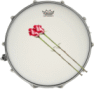 Rose Drum Wien Logo